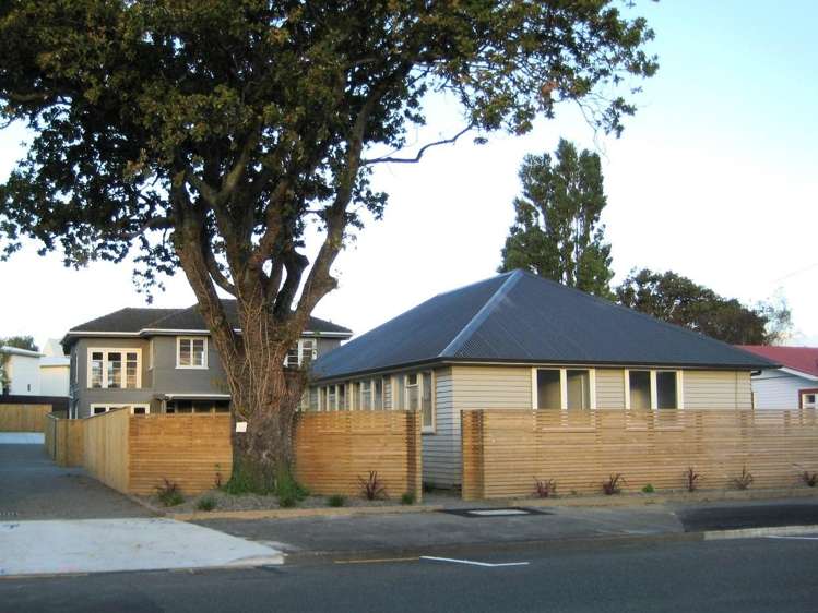 73E Heretaunga Street 2144_10