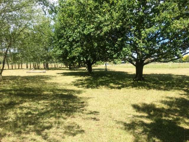 Lot Lot 1/202 Tapairu Road Waipawa_1