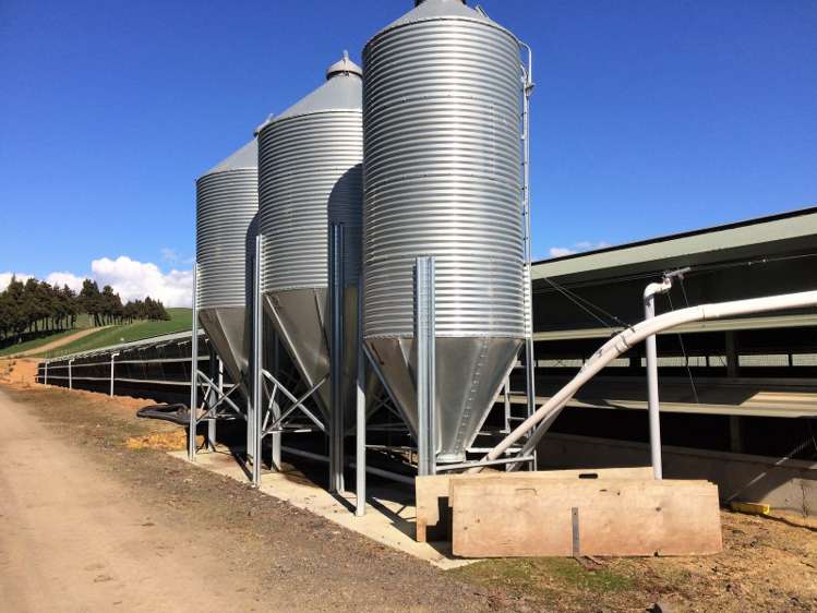 198 Harbottle Road Morrinsville_2