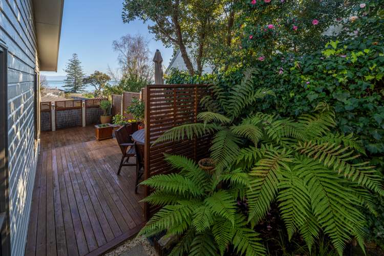 1/23 Montrose Drive Atawhai_7