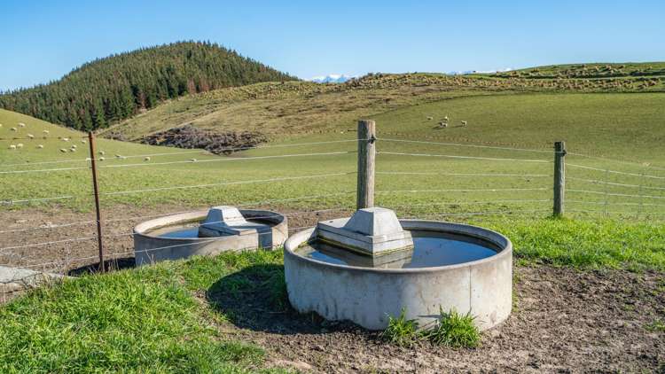 324 Reeces Road Omihi_16