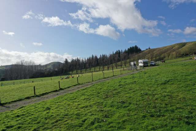 220 Waituna Road Pahiatua_3