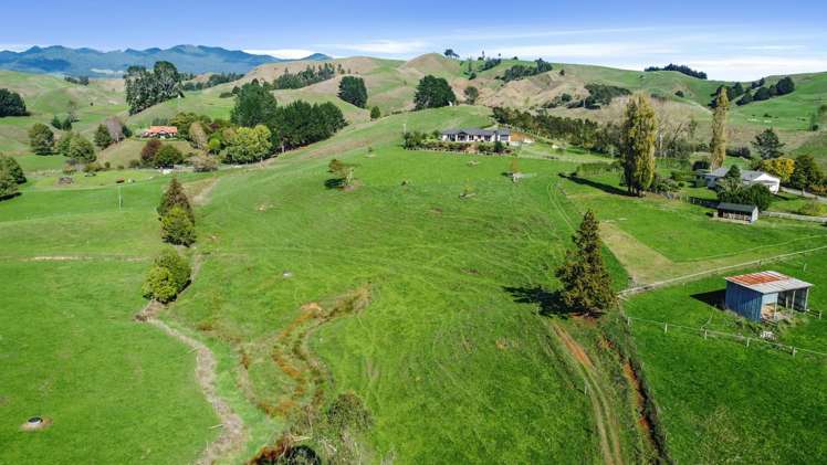 998 Limeworks Loop Road Te Pahu_37