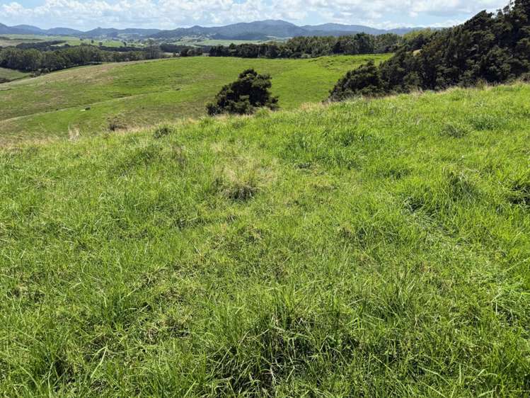 860 Kaiwaka-Mangawhai Road Kaiwaka_6