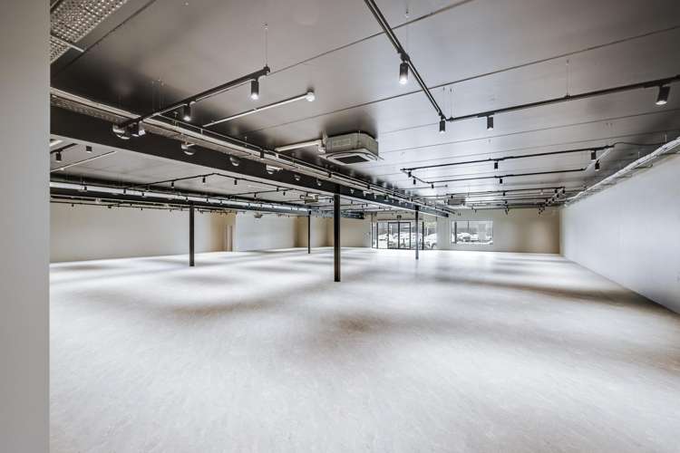 22 Munroe Street Napier South_8