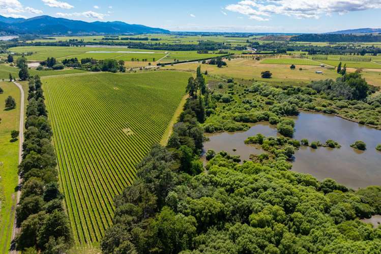 1081 State Highway 63 Renwick_38