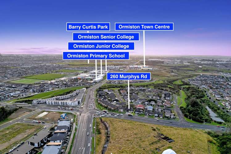 260 Murphys Road Flat Bush_26