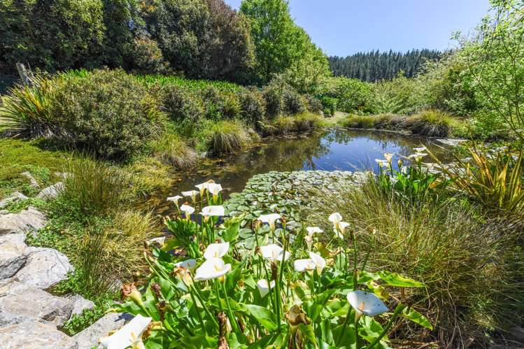 157 Stringer Road Redwood Valley_35