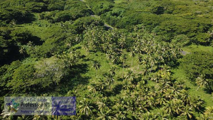Address withheld Savusavu_19