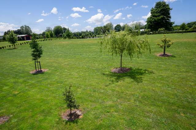 15 Olive Place Matamata_1