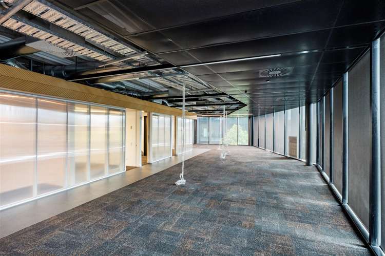 335 Lincoln Road Addington_5