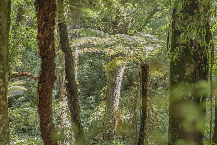 2/398 Luck At Last Road Maungatautari_30