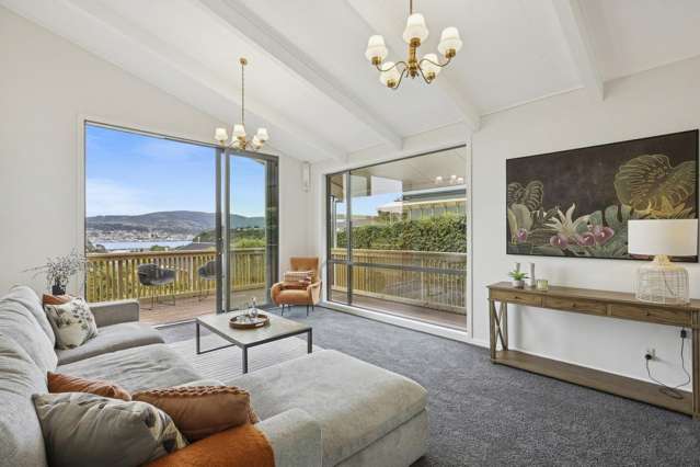 47 Spottiswoode Street Andersons Bay_3
