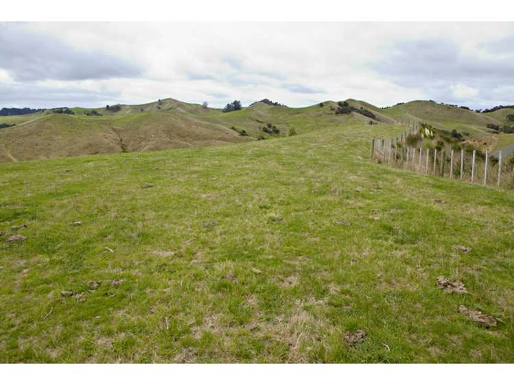 47 Haul Road Tahekeroa_13