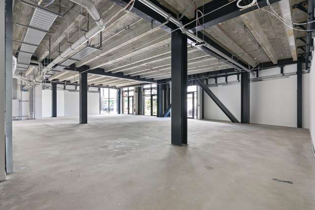 T1/124 Halsey Street Auckland Central_1