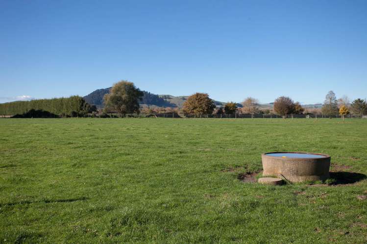 312b Marychurch Road Matangi_5