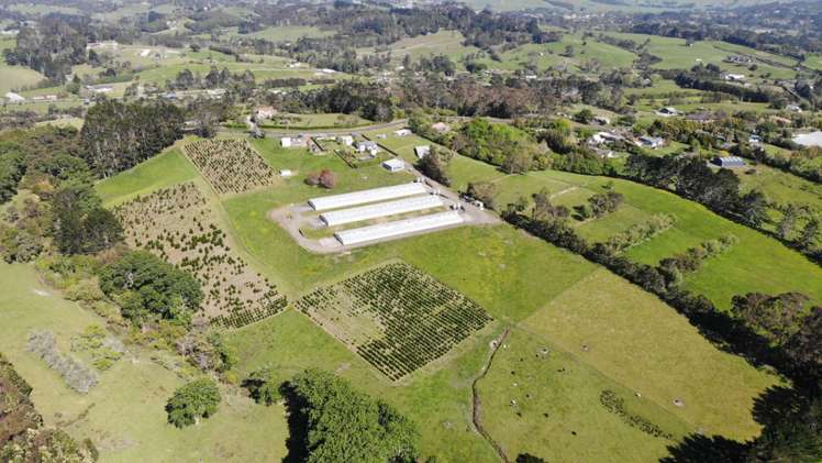 69 Puke Road Kumeu_12