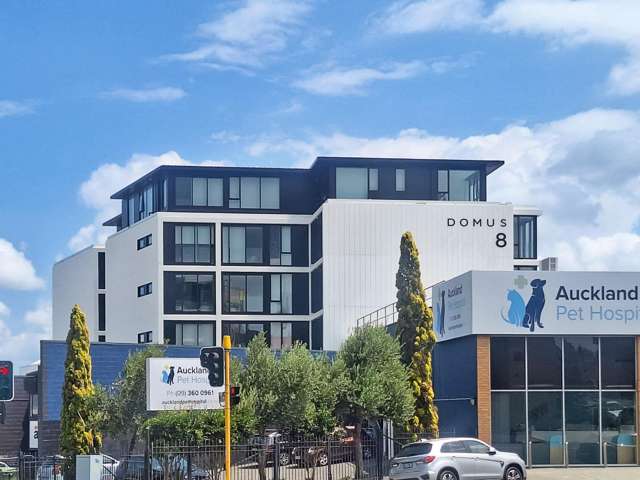 1 bedroom apartment in Ponsonby
