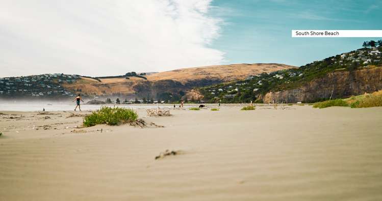 205 Rocking Horse Road Southshore_26