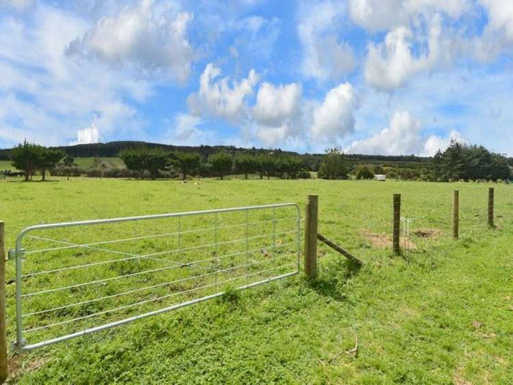 88 Whatitiri Road Maungatapere_17