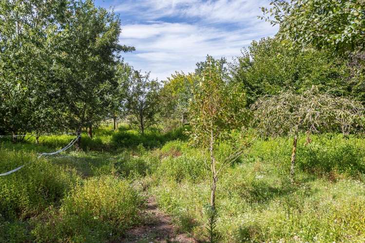 595 Wards Line Greytown_20