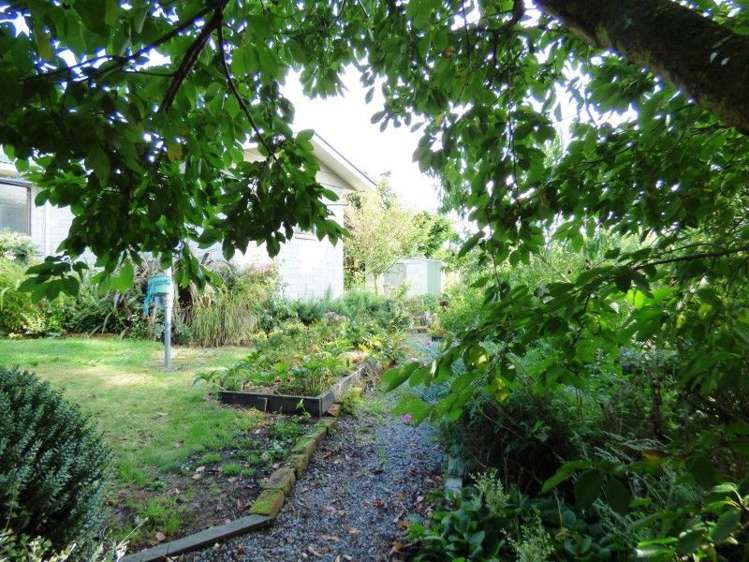 384 Whitecliffs Road Whitecliffs_13