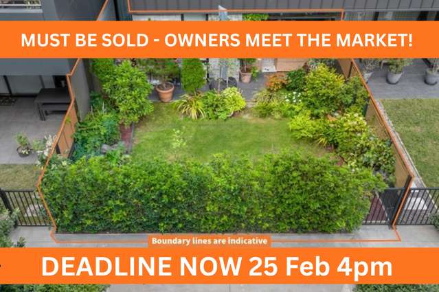 Established Garden + Bells & Whistles