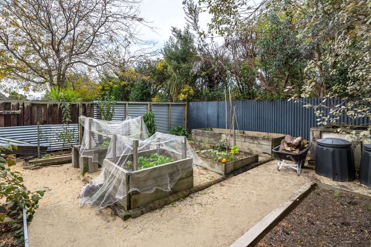 37 Taverner Street Carterton_20