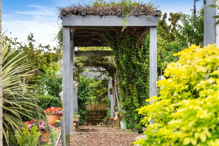 27 Canmore Street Pokeno_14