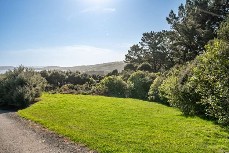 51 Jones Deviation Pauatahanui_11