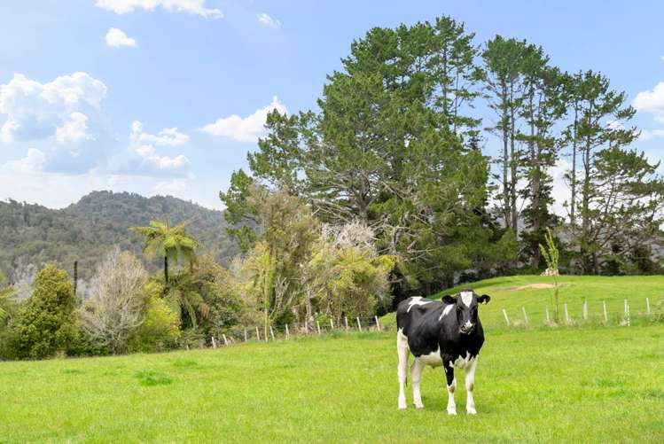 664 Te Puke Quarry Road Kaimai_24