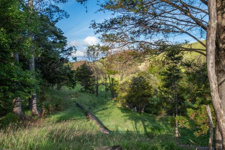 113 Puhata Road Herekino_20