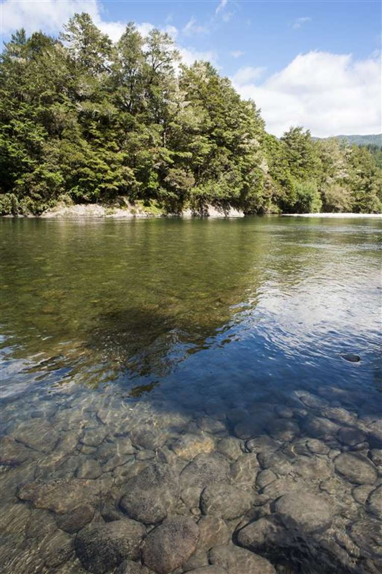 2314 Shenandoah Highway Murchison_12