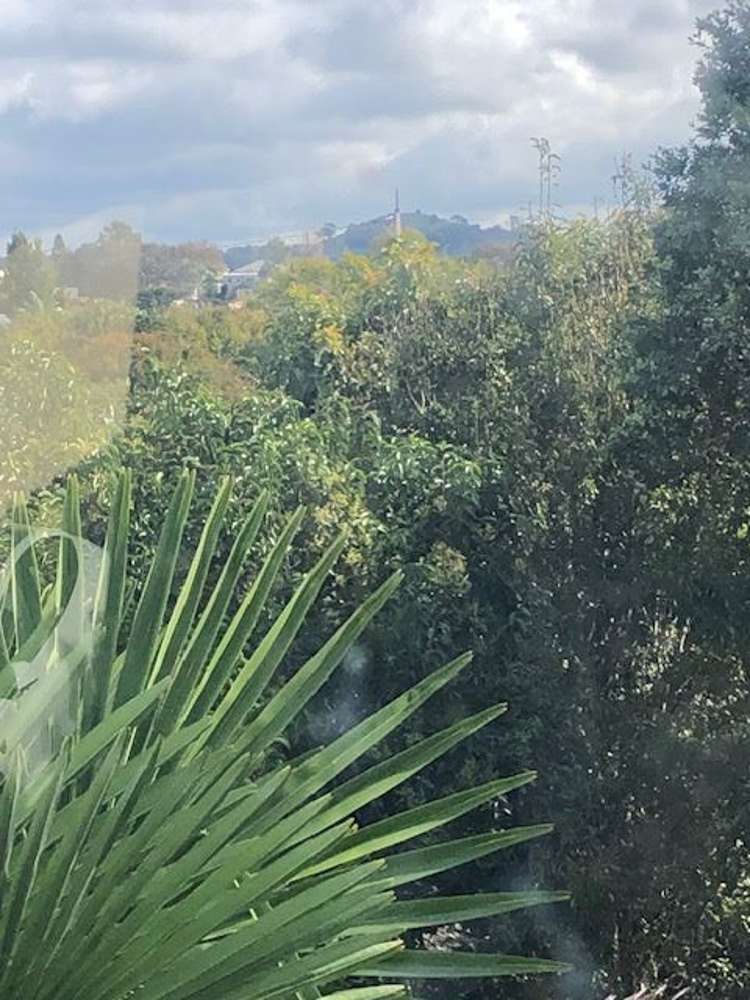 10a Peek Street Ellerslie_13