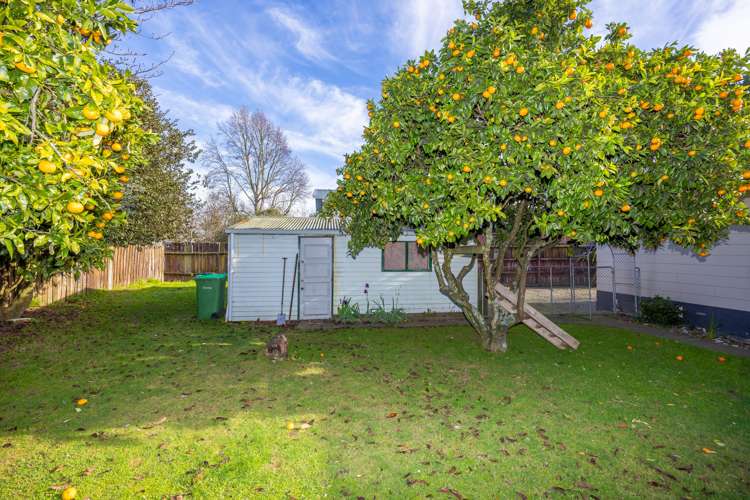 19 Durham Street Nawton_21