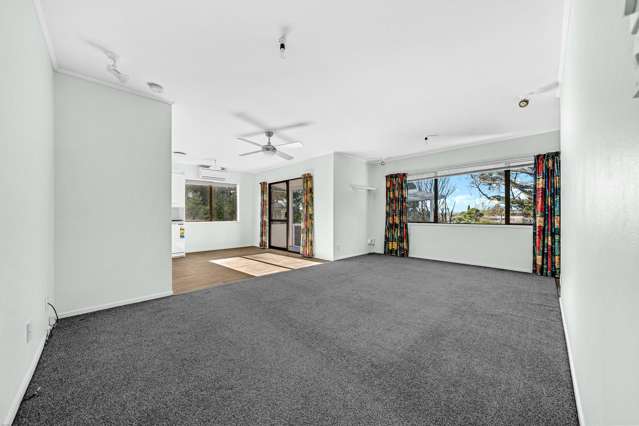 35 Moloney Terrace Pukekohe_3