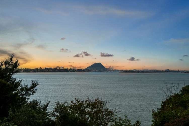 49 Vine Avenue Maungatapu_17