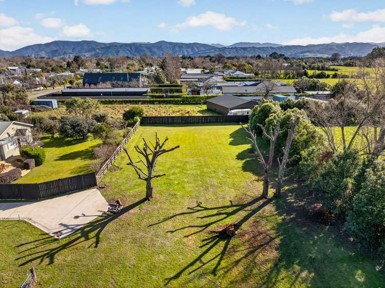 51A Jellicoe Street_2