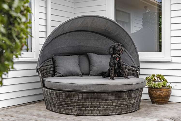 34 Washington Avenue Glendowie_8