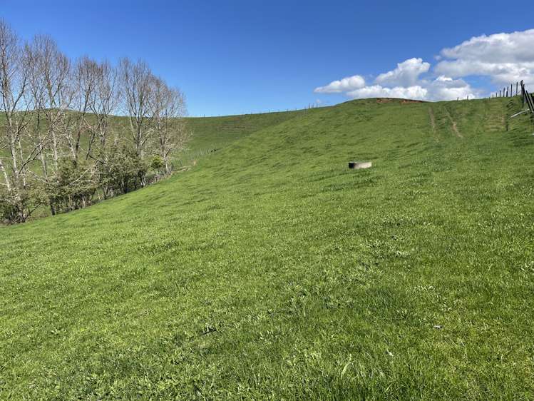 481 Honikiwi Road RD3 Otorohanga_12