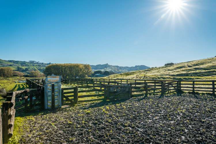 229 Rangikohua Road Tolaga Bay_24