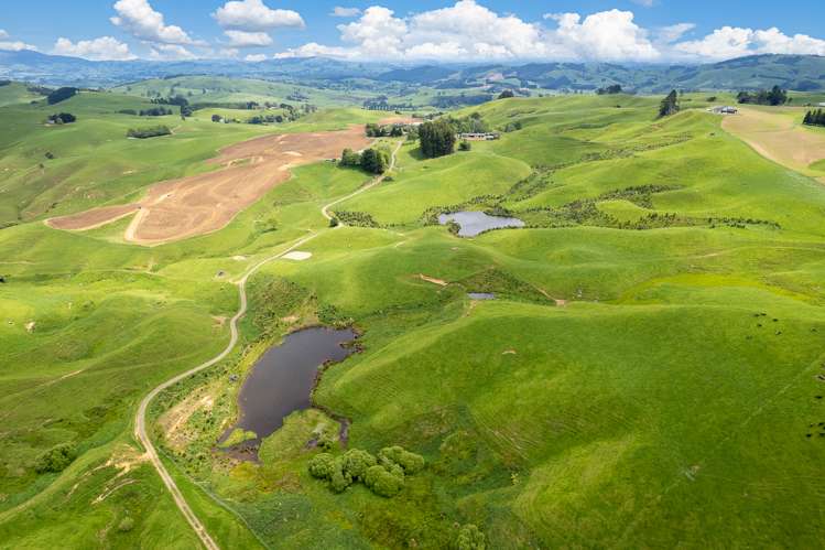 2/205 Oliver Road Te Miro_2