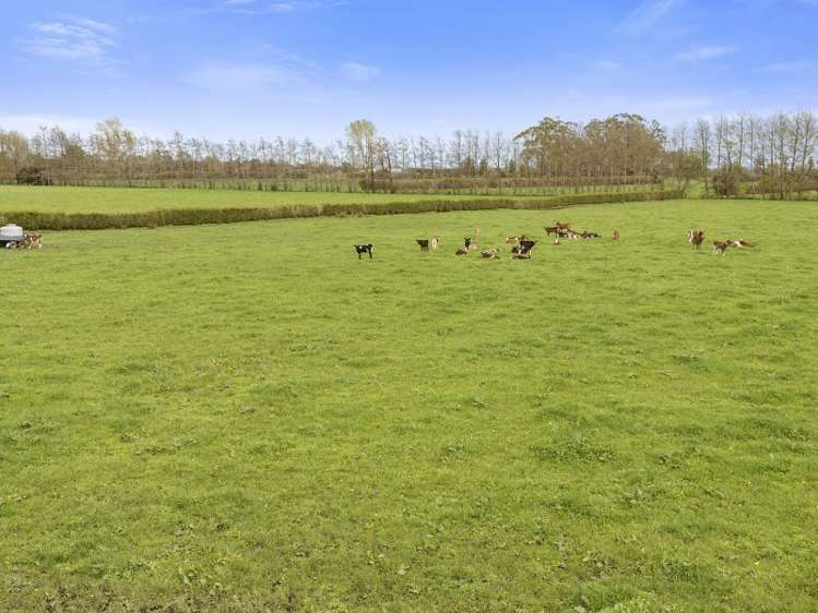 26 Schollum Road Eureka_4