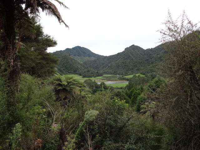 3361 State Highway 2 Opotiki and Surrounds_1