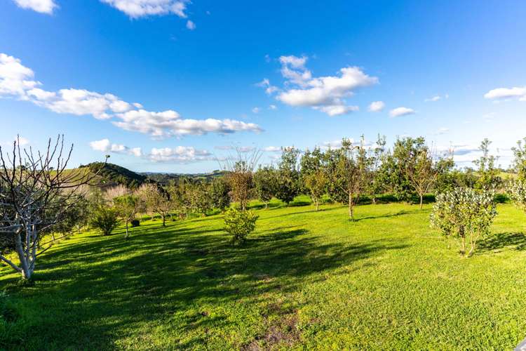 145 Petley Road Paparoa_19