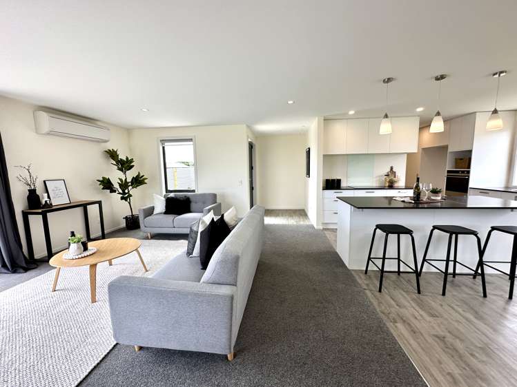 8 Chatham Rise Seaward Bush_5