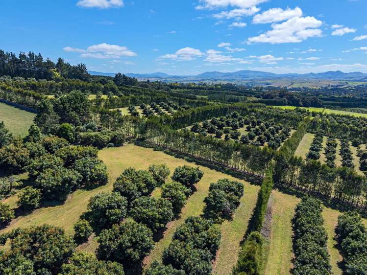 88 Stone Wall Rse Maungatapere_15