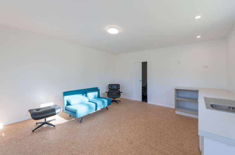 136 Saint Vincent Street Toi Toi_20