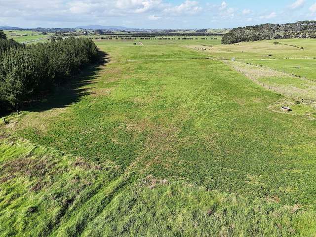 413A Baylys Coast Road Dargaville_4