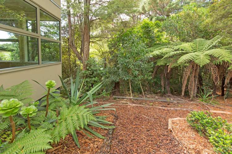 92b Scott Road Stanmore Bay_18